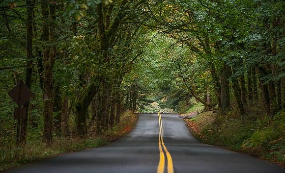 The Road to Multnomah Falls, OR