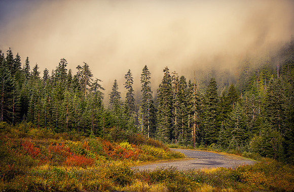 Misty Mountains - Washington Cascades