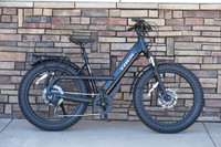 Trek E-Bike