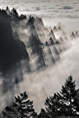 Mt. Tamalpais, CA
