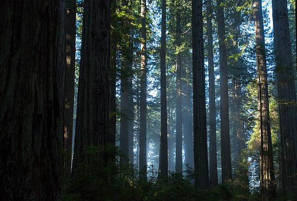 Northern California