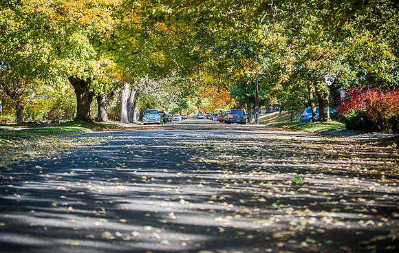 Suburban Street of Spokane, WA in the Fall