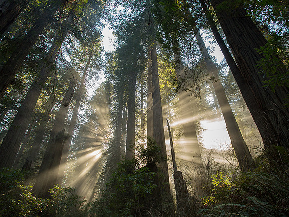 Northern California