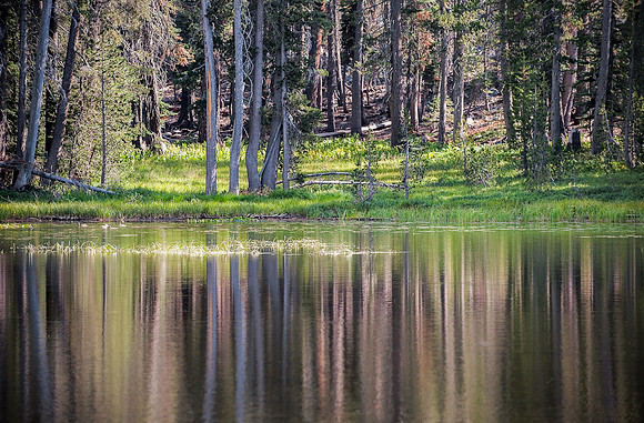 Yosemite