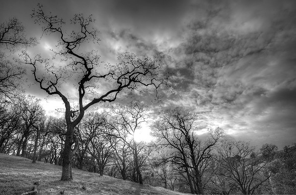 Pleasant Hill, CA