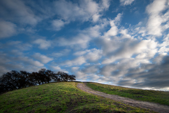 Walnut Creek Open Space