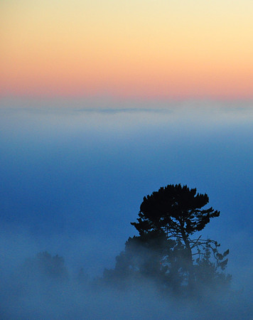 Grizzly Peak, Berkeley, CA