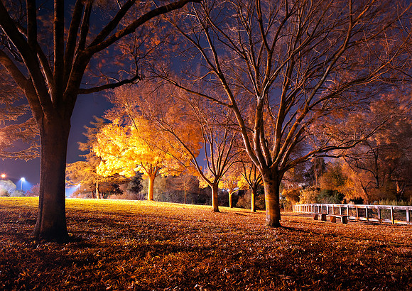 Walnut Creek, CA